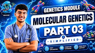 Molecular Genetics PART 03 - Protein synthesis and Gene regulation and expression