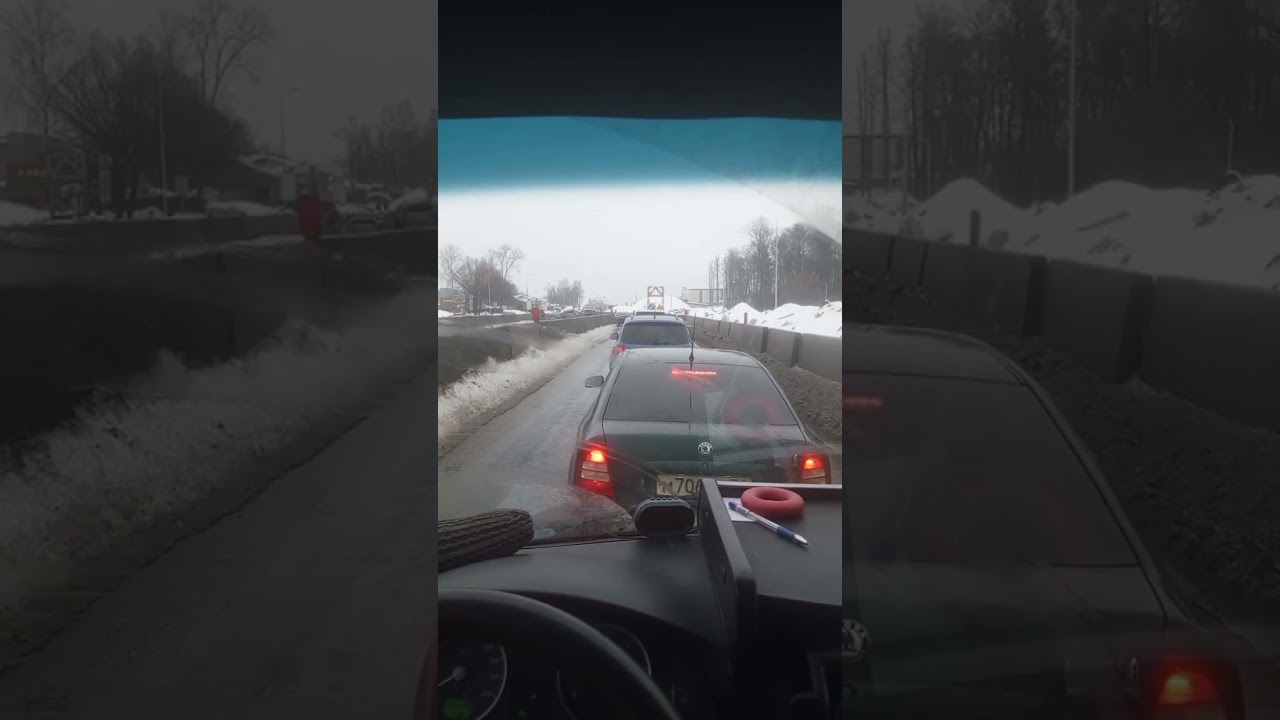 Везу тюльпан. 