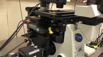 1. Startup for fluorescence imaging on IX81 Luna