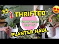 PLANTER POT THRIFT HAUL!!! INDOOR PLANTS & THRIFTED POTS | THRIFTMAS DAY 15