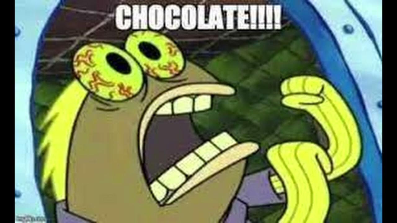 Chocolate SpongeBob Meme Sponge Bob Did You Say Chocolate YouTube chocolate-spongebob-meme-sponge-bob-did-you-say-chocolate-youtube