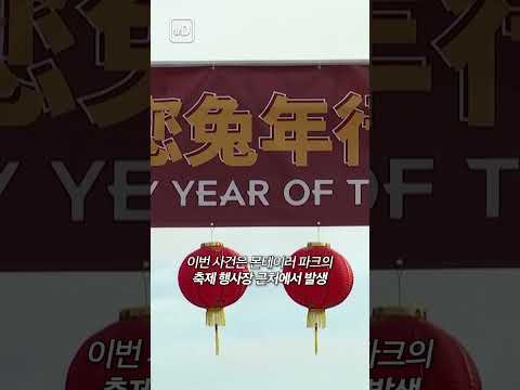 피로 물든 LA 설…72세 노인의 <strong>총기난사</strong> 이유는? #shorts