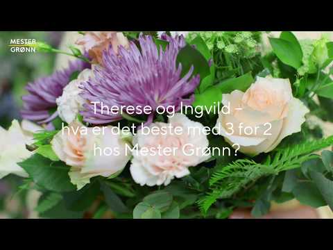 Video: Hvordan ser en Arbutus-blomst ud?