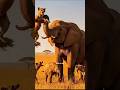 Giant Elephant Mom SMASHES Charging Hyena to Protect Her Baby | Intense African Wildlife Moment!