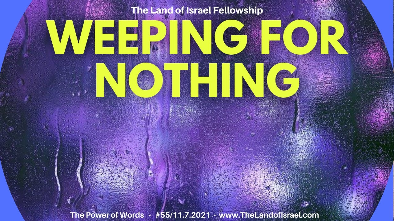 Weeping for Nothing - Ari Abramowitz: The Land of Israel Fellowship