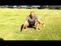 Steve Maxwell: Hunter squat series