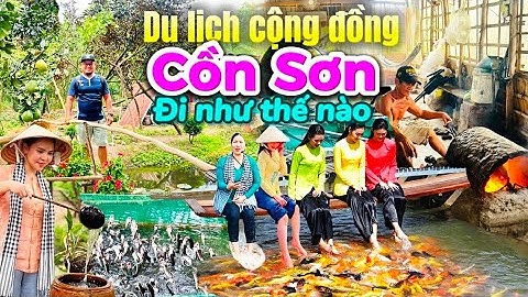 791. Cần Thơ - Cách đi tham quan Cồn Sơn ở Cần Thơ chi tiết và tiết kiệm nhất