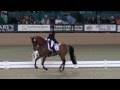 Avanti  elizabeth ball  fei freestyle test of choice  evening of musical freestyles 2015