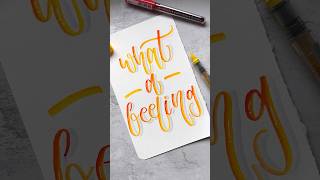 Celebrity Bouncy lettering | Blending by Karin brush pen | Brush pen calligraphy #art #handlettering Net Worth