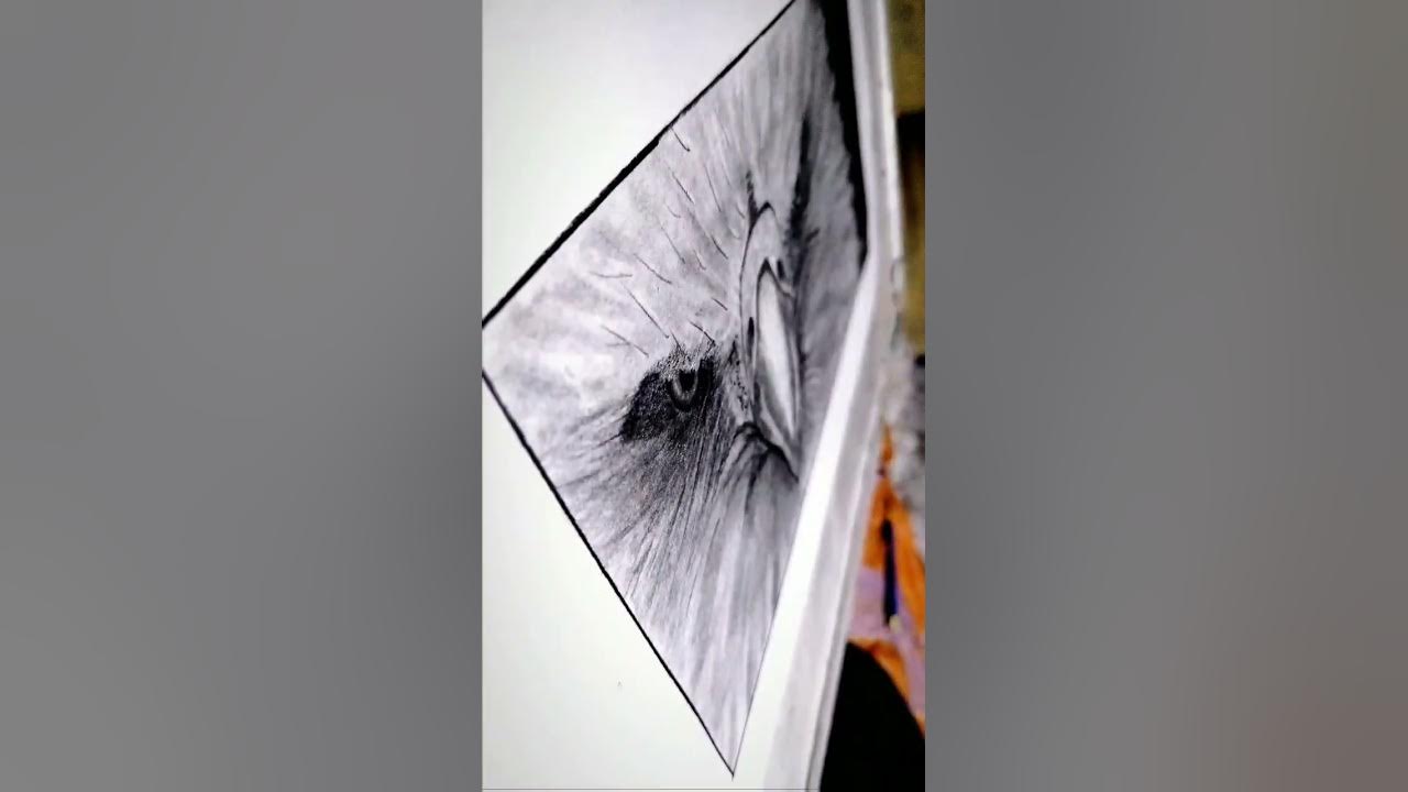 Realistic Egel Drawing Realistic Sketch Artist Shikha Sharma