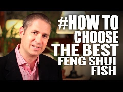 Video: Wat Betekent Feng Shui-vis?