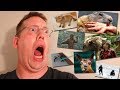 How many animals have attacked me??? Its a lot. And gear giveaway winner.