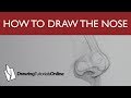 How To Draw The Structure Of The Nose
