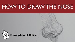 How To Draw The Structure Of The Nose