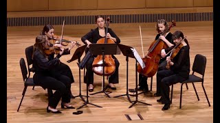 Schubert: String Quintet in C Major, D. 956, mvt. I, 