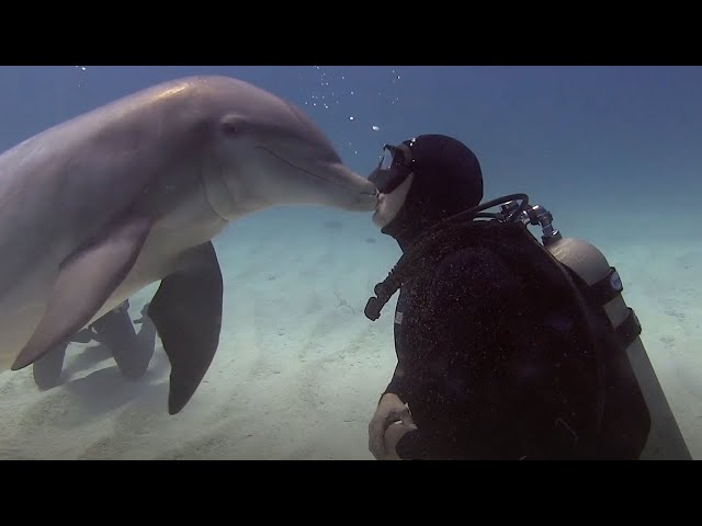 toshakda chiroyli yalangoch ayollar