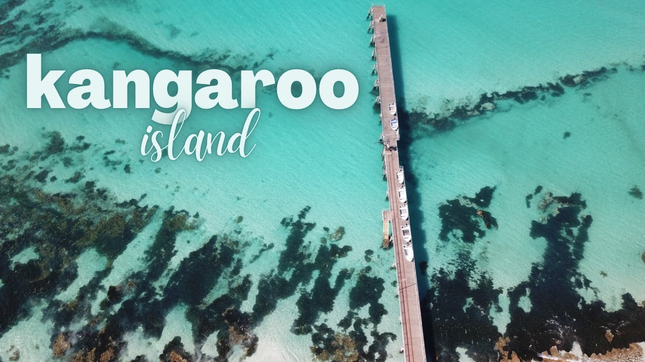 KANGAROO ISLAND | What To See & Do - Road Trip Australia Travel Vlog Ep. 2