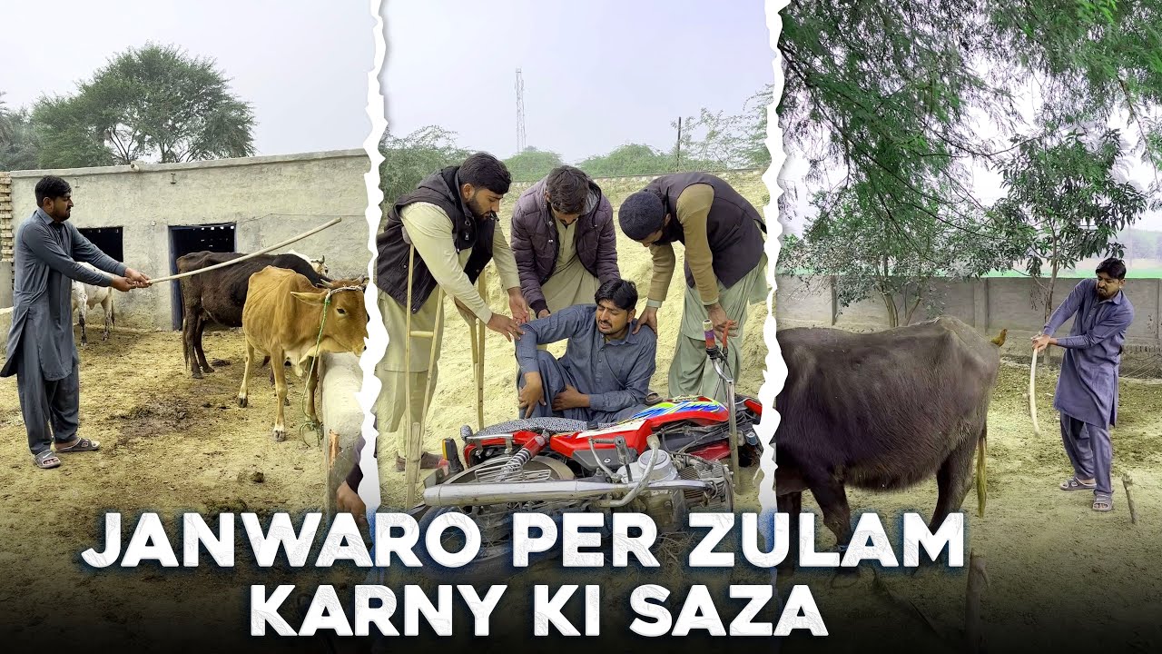 Janwar Per Zulam Karny Walay Ka Anjaam  | Moral Video | Akz Production