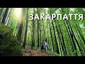 ЗАКАРПАТТЯ |1| Яке ви не бачили  Де відпочити? |КАМОН|