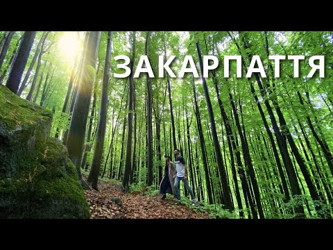 ЗАКАРПАТТЯ |1| Яке ви не бачили Де відпочити? |КАМОН|