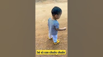 bé và con chuồn chuồn
