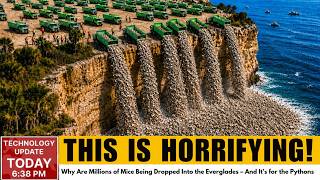 Florida Dumped Half a Million Tons of Oyster Shells... Look What It Created