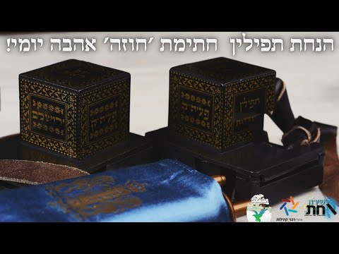 הילולת רבי צבי הירש מזידיטשוב שר בית הזוהר יא תמוז הנחת תפילין חתימת חוזה אהבה יומי עם הקב ה 
