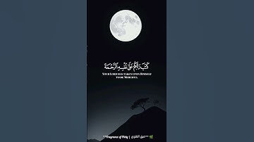 الشيخ ياسر الدوسري، بصوت يريح النفس، يقرأ من سورة الأنعام… نور وطمأنينة.  #ياسرالدوسري #اكسبلور