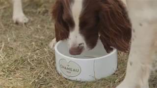 Le Chameau at The Game Fair 2017 screenshot 4