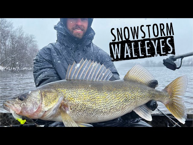 Lew's - 🔥Walleye Wednesday🔥. Spring is upon us and shore fishing