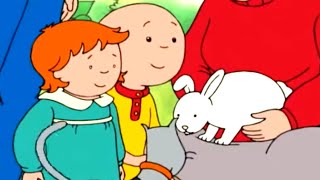 Caillou and the White Rabbit | Caillou Cartoon
