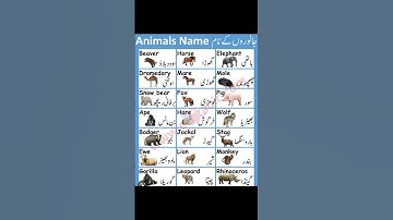Animals Name in english and urdu #shorts #viral