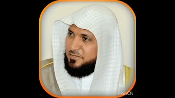 سورة التكاثر : ماهر المعيقلي