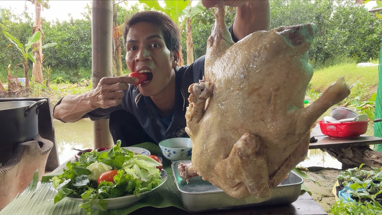 NHỮNG CƠN MƯA CUỐI MÙA NGOÀI ĐỒNG VỊT LUỘC GẠO NGẮM GIỌT RƠI