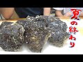 シーズンギリギリの岩牡蠣を使って巨大カキフライにリベンジ！！結果はいかに…！！