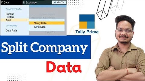 How to Split company data in tally prime