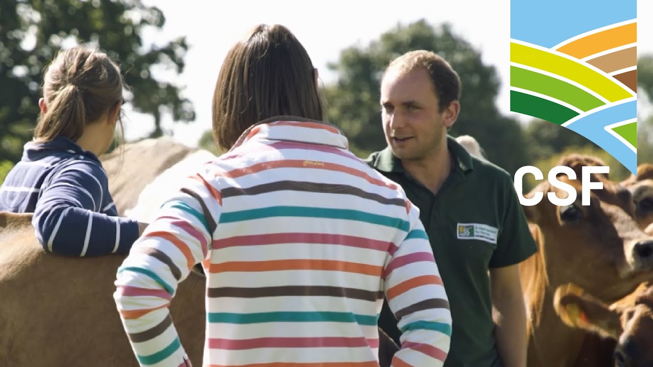 How a Local CSF Adviser Can Help Your Farm YouTube