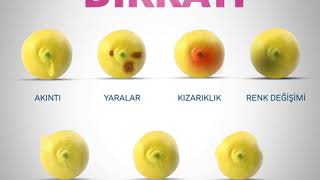 Meme Kanserinin Bu Belirtilerine Dikkat