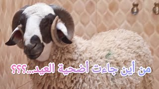 عيد الأضحى.. قصة سيدنا إبراهيم عليه السلام