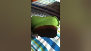 Viewloader Eye Force review/drop test