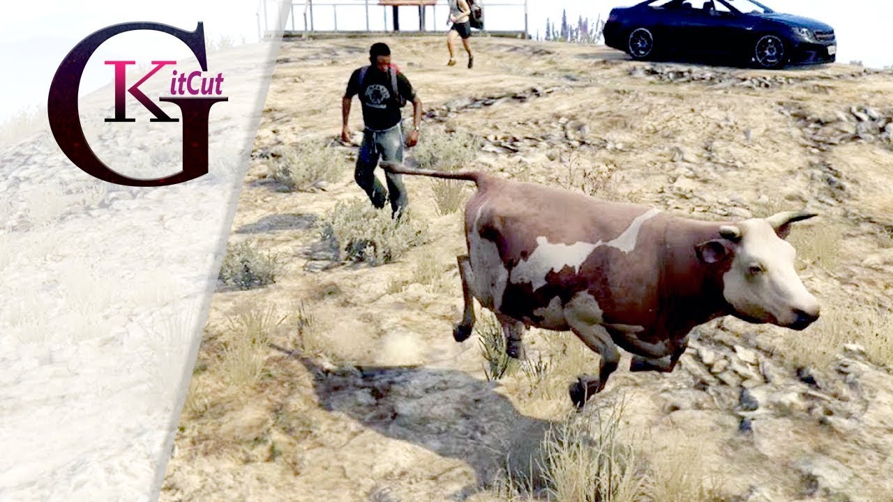 Animal Transport Simulation Gameplay For Kids | Best Realistic Physics Game