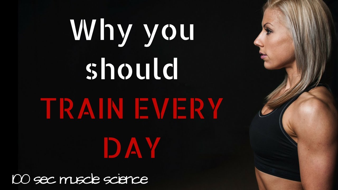 Why You Should Train Every Day Sciencestrength Why You Should Train Every Day Sciencestrength