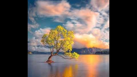 تلاوة جميلة سعود الشريم/حالات واتس اب 🌹