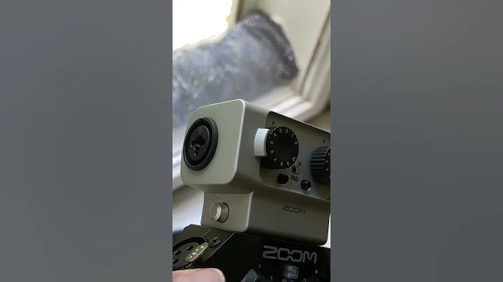 Which Is More Versatile? Zoom H5 vs H8