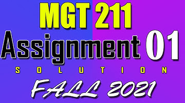 MGT211 Assignment 1 Solution Fall 2021 | MGT211 Assignment 1 Solution 2022
