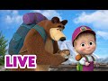 🔴 LIVE 🐻👧 Masha y el Oso 2024 🏕️ Interés natural 🎬 Masha and the Bear