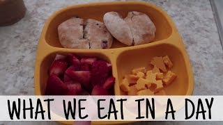 🍓What We Eat In a Day // Family Edition // 1, 4 & 5 year Old🍓
