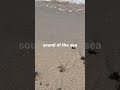 sound of the sea ASMR 【天橋立】