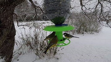 3D printed bird feeder (P2)