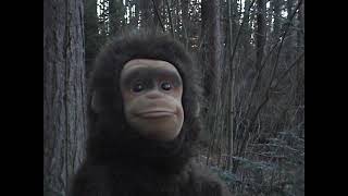 Neil Saves Christmas dvd Rip